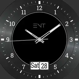 EVT DS-1