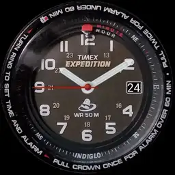 Shenmue Timex Expedition - Accurate Watch Hands