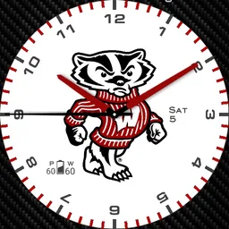 Wisconsin Badgers