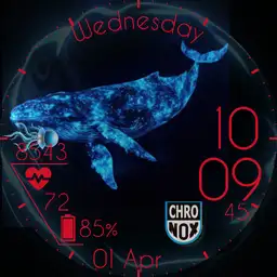 Chronox Save The Wale