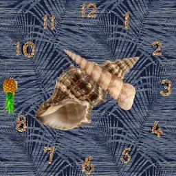 The seashell