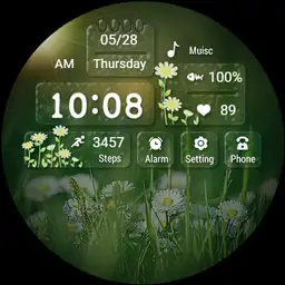 【Custom】Summer Scene