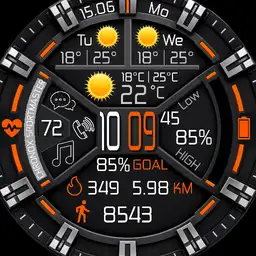 Chronox SPORTMASTER II