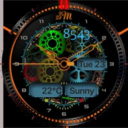 SM Black Oringe