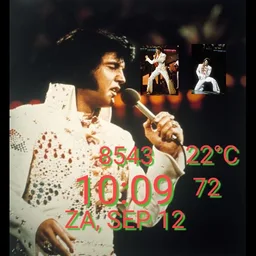 Elvis Presley