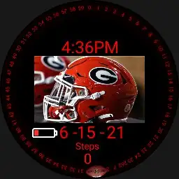 Georgia bulldogs