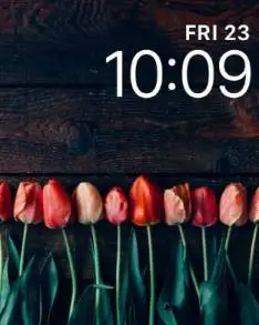 Tulips