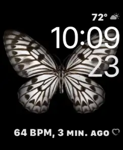 Motion