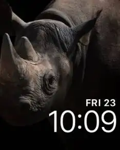Rhino