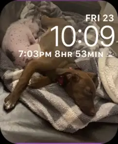Sleepy pups