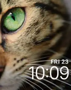 Cat Eye