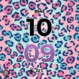 Rainbow leopard bold