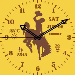 UW-Cowboy-01