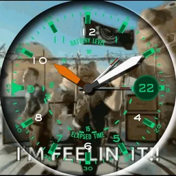 Blink 182 feelin it Military style watch