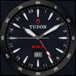 Focus T series v1