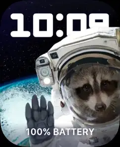 Space raccon