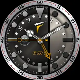 Focus GMT v19