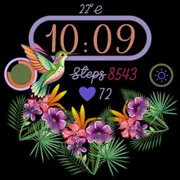 N-COLIBRÍ