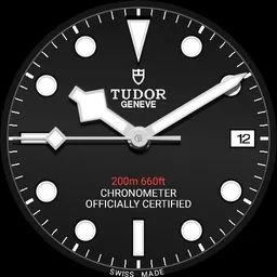 Tudor Heritage Black Bay Steel 1