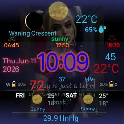 Weathercom Harley quinn