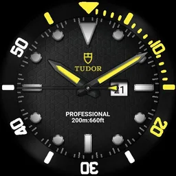 Focus T series v11