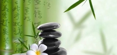 lotus (-: