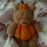 Pumkin jellycat