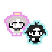Sh-tdn