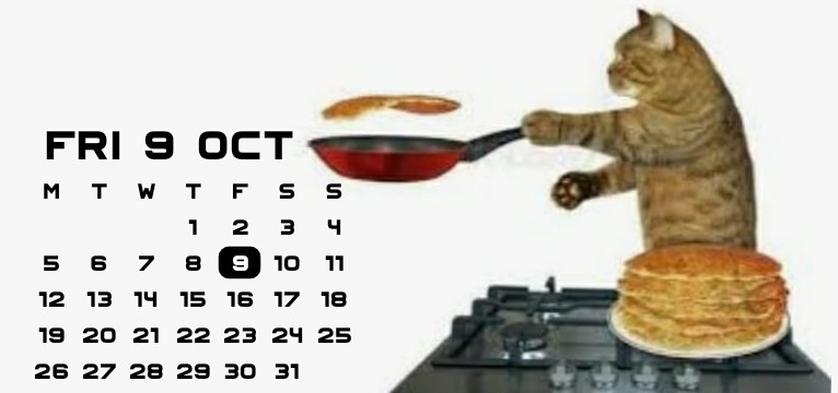 Cat Making Pancakes