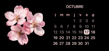 calendar