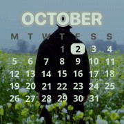 cool widget