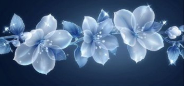 blue flowers