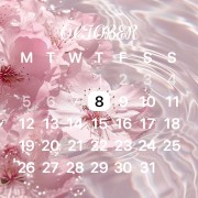 Pink flower ᰔᩚ