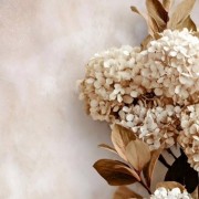 Neutral flowers