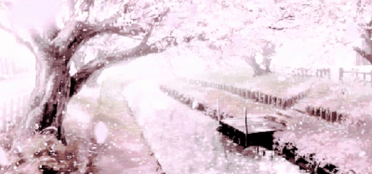 sakura