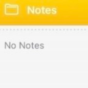 iPhone Notes widget