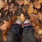 autumn