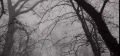 Gloomy