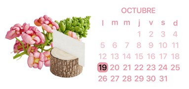pink calender