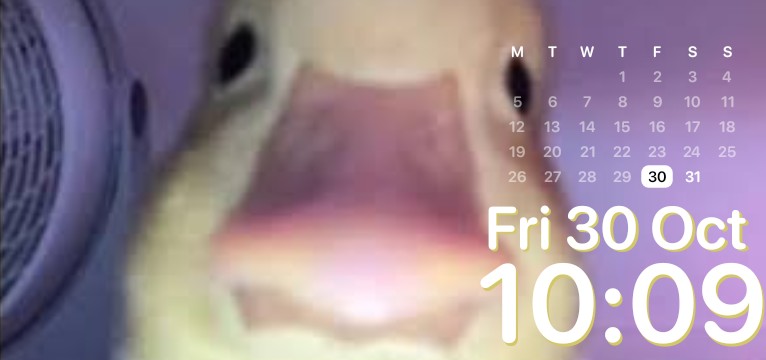 Ducky