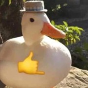 Cool duck