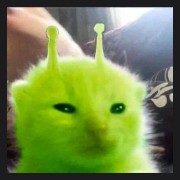 Alien kitten
