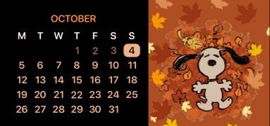Snoppy calendar