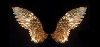 angel wing widget