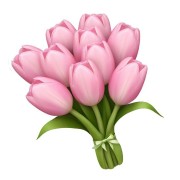 flor pink