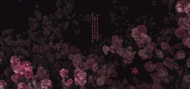 sakura vibe