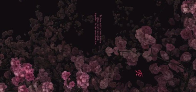 sakura vibe