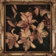 Lilies vintage