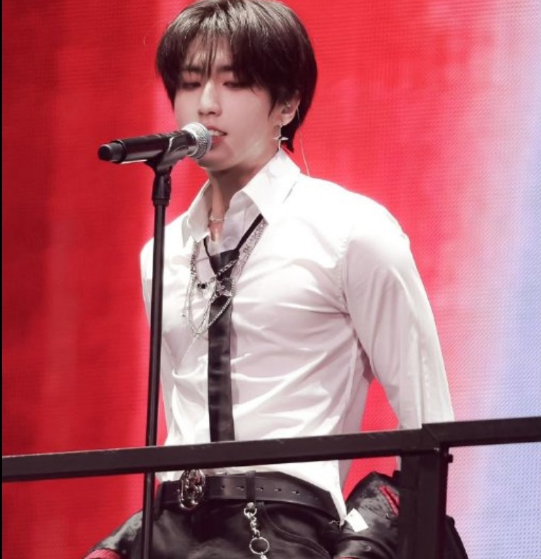 Han Ji sung stray kids · widgetopia