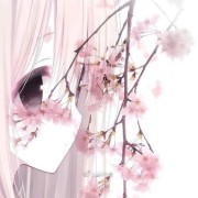 anime cherry blossoms